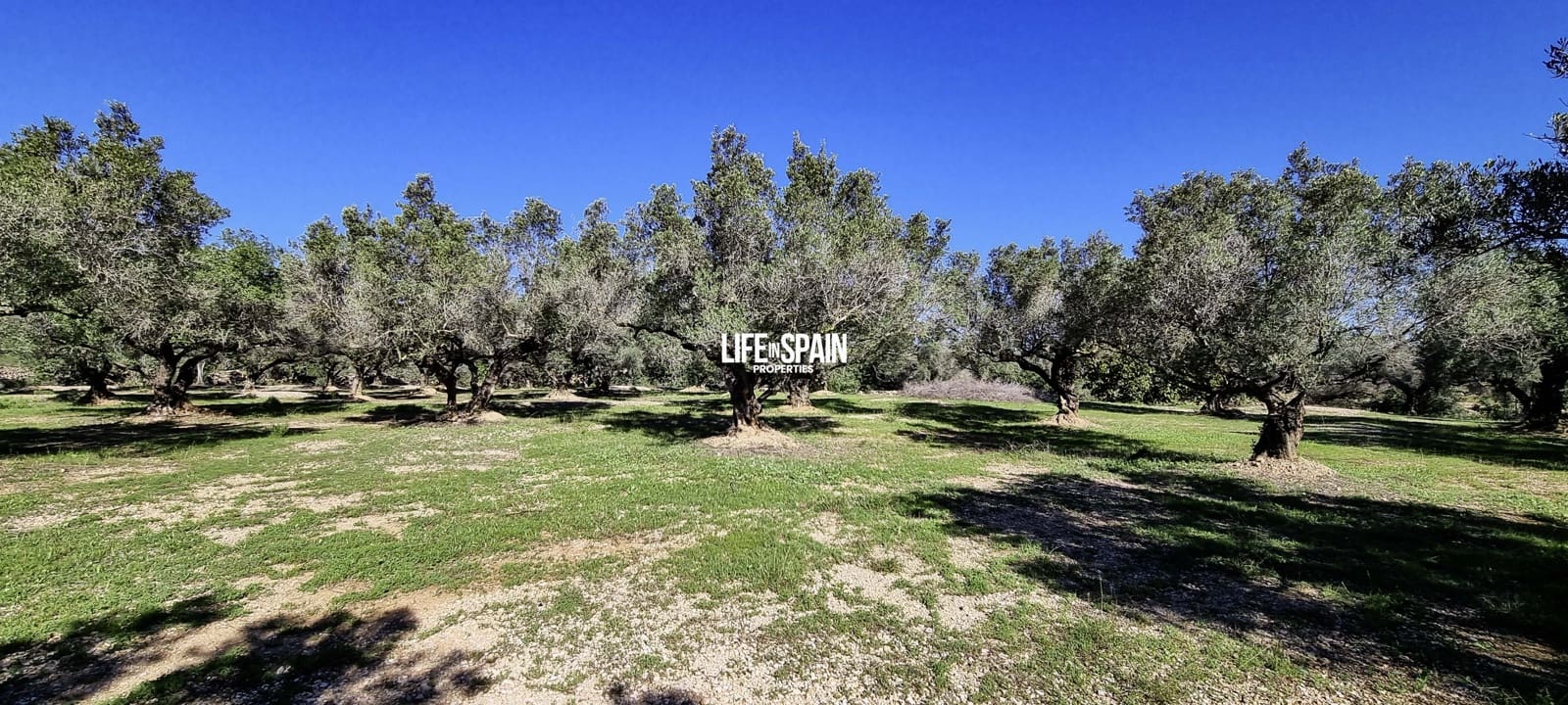 1 sovrum Finca/Hus på landet till salu i Camarles - 86 000 € (Ref: 9357870)