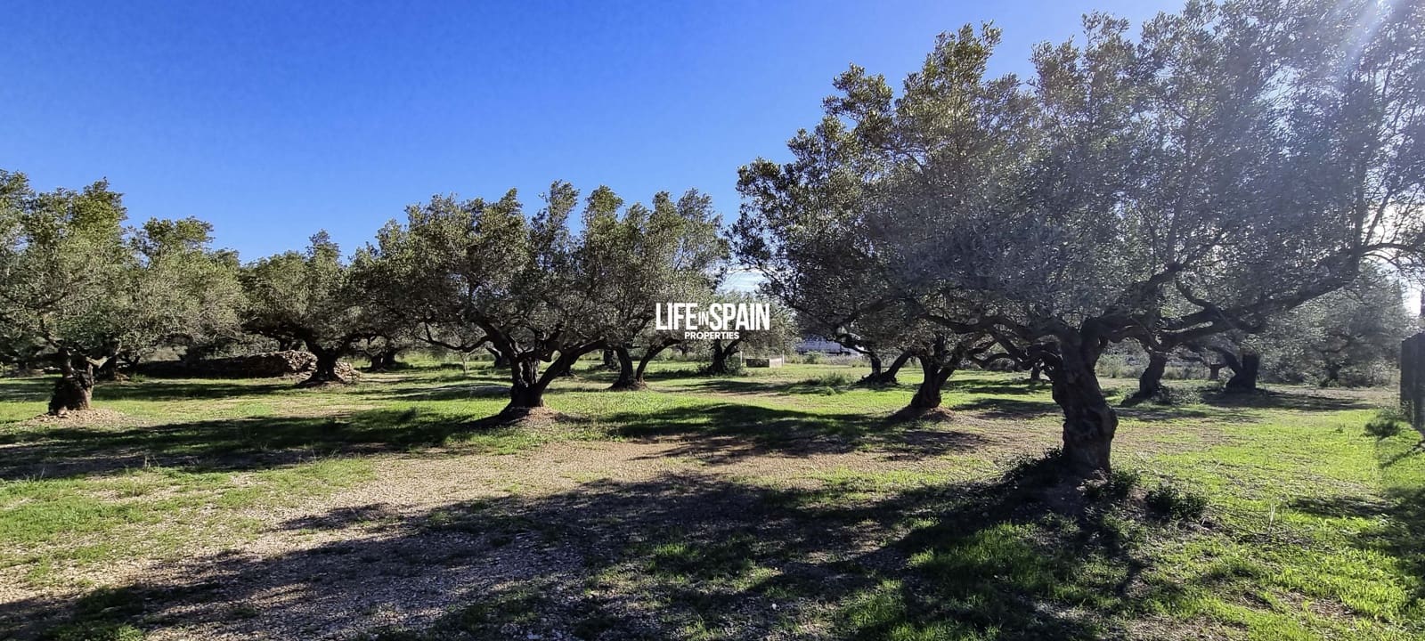 1 sovrum Finca/Hus på landet till salu i Camarles - 86 000 € (Ref: 9357870)