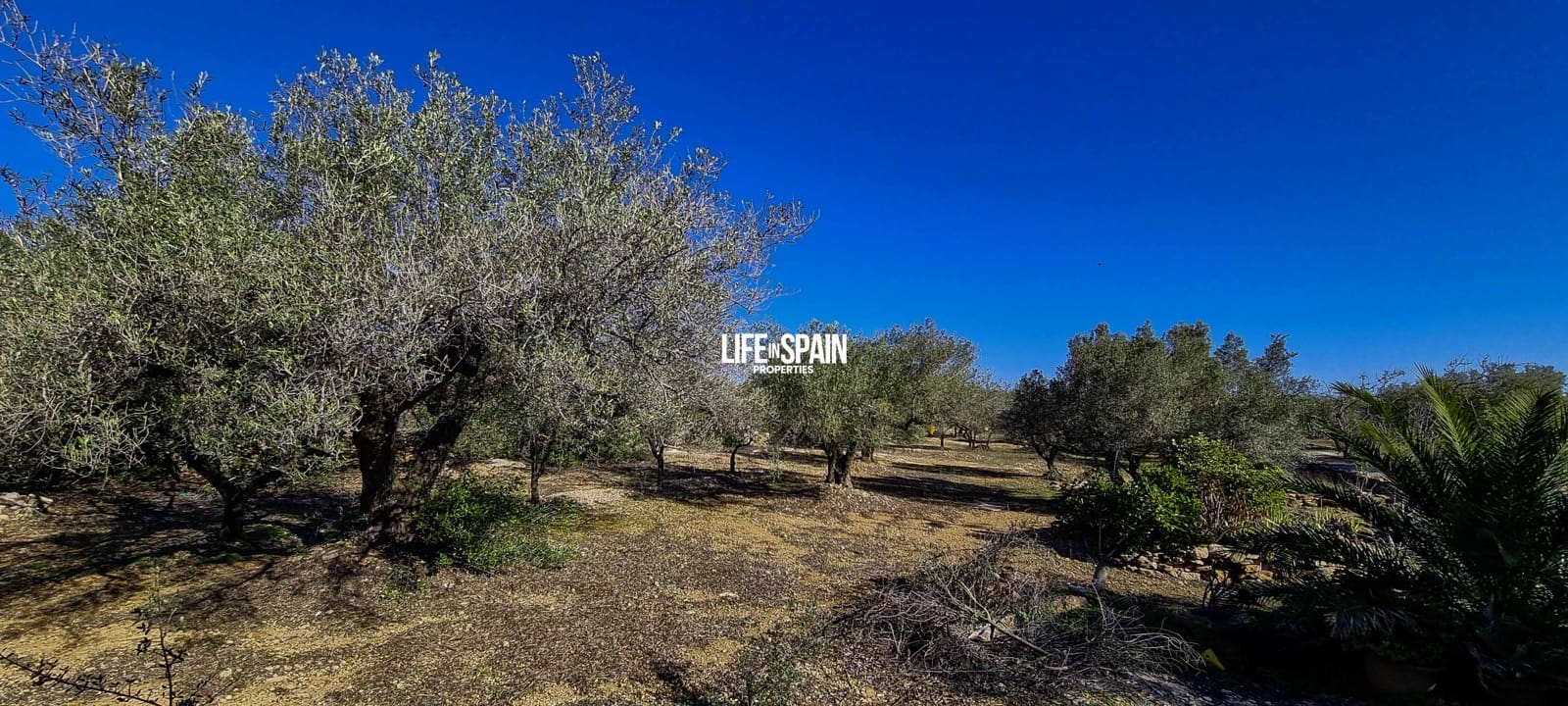 4 soverom Finca/Herregård til salgs i L'Ampolla - € 250 000 (Ref: 9357875)