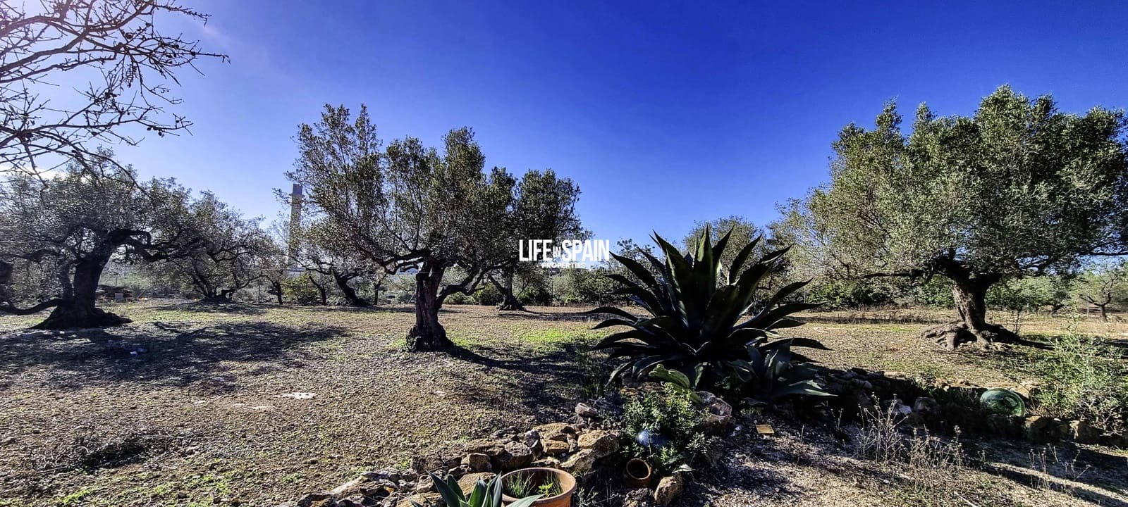 4 soverom Finca/Herregård til salgs i L'Ampolla - € 250 000 (Ref: 9357875)