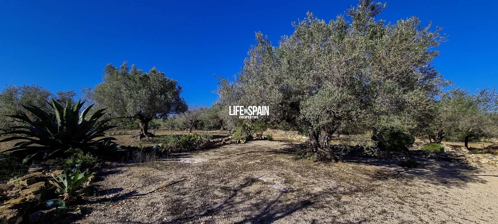 4 soverom Finca/Herregård til salgs i L'Ampolla - € 250 000 (Ref: 9357875)