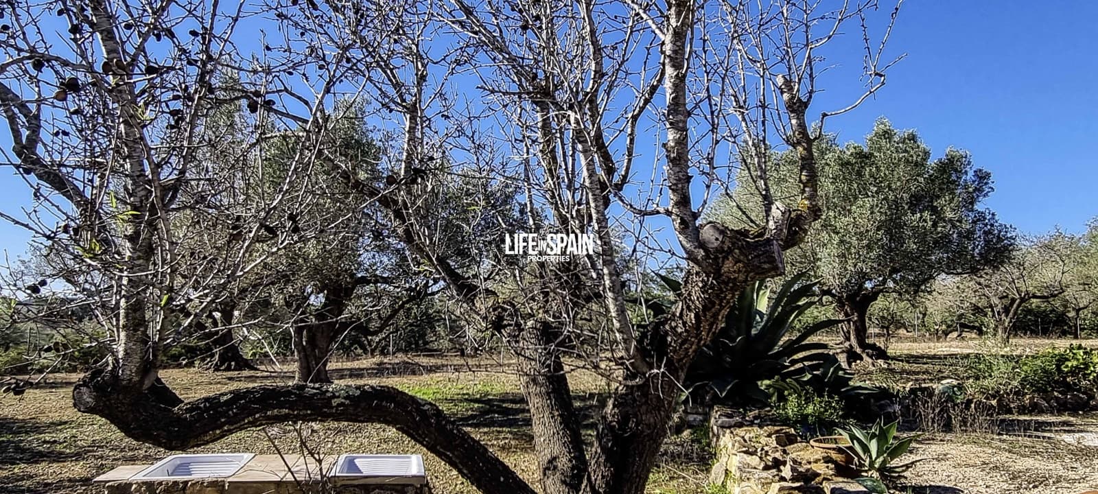 4 soverom Finca/Herregård til salgs i L'Ampolla - € 250 000 (Ref: 9357875)