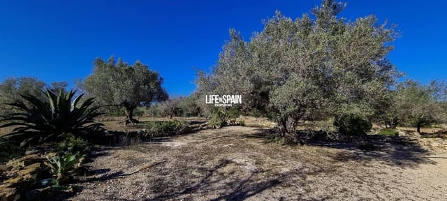 4 bedroom Finca/Country House for sale in L'Ampolla - € 250,000 (Ref: 9357875)