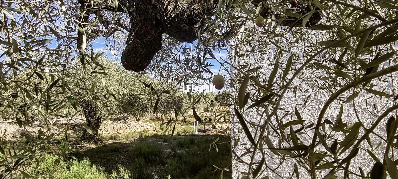 2 sovrum Finca/Hus på landet till salu i L'Ametlla de Mar med pool - 350 000 € (Ref: 9381992)