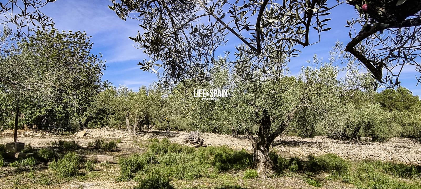 2 sovrum Finca/Hus på landet till salu i L'Ametlla de Mar med pool - 350 000 € (Ref: 9381992)