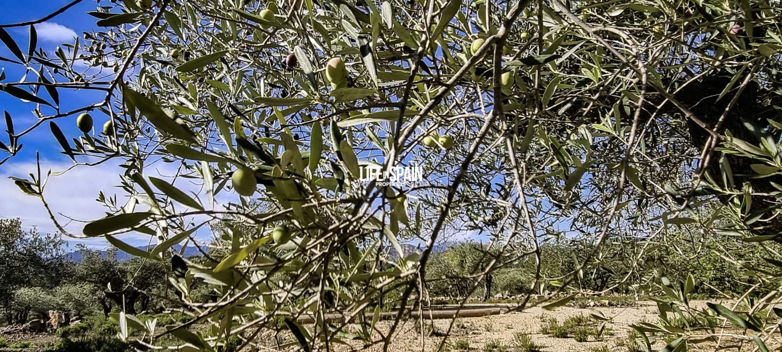 2 sovrum Finca/Hus på landet till salu i L'Ametlla de Mar med pool - 350 000 € (Ref: 9381992)