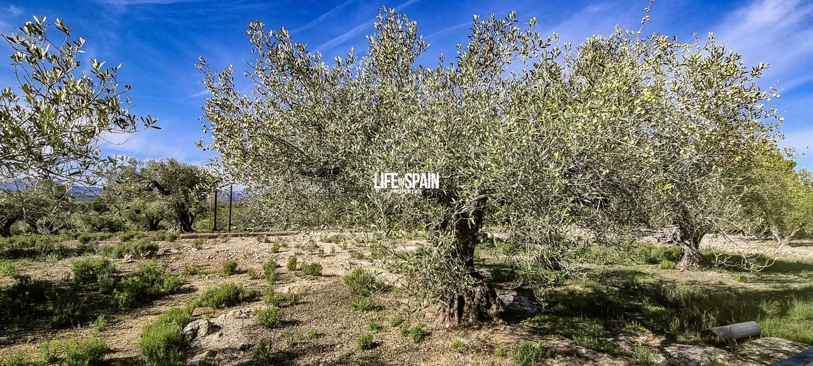 2 sovrum Finca/Hus på landet till salu i L'Ametlla de Mar med pool - 350 000 € (Ref: 9381992)