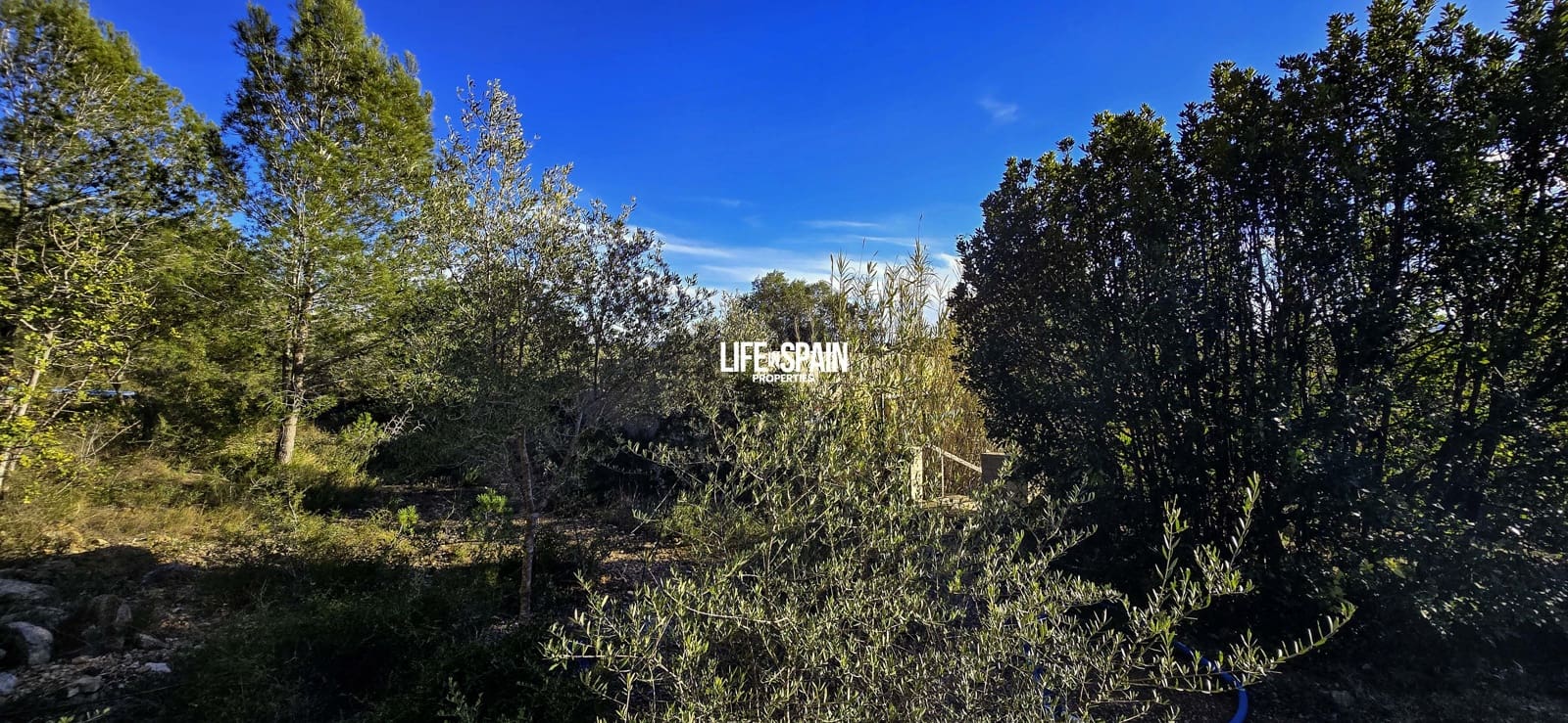 5 sypialnia Finka/Dom wiejski na sprzedaż w Ulldecona z basenem - 275 000 € (Ref: 9593289)