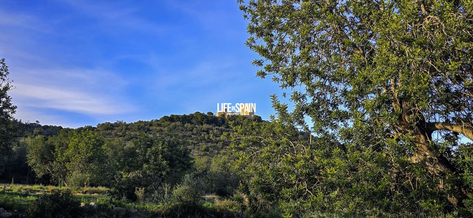 5 sypialnia Finka/Dom wiejski na sprzedaż w Ulldecona z basenem - 275 000 € (Ref: 9593289)