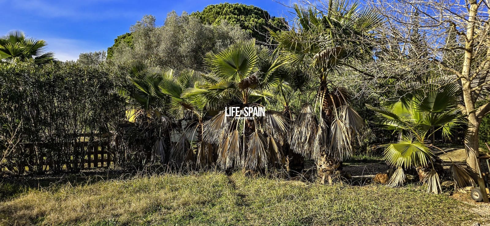 5 sypialnia Finka/Dom wiejski na sprzedaż w Ulldecona z basenem - 275 000 € (Ref: 9593289)