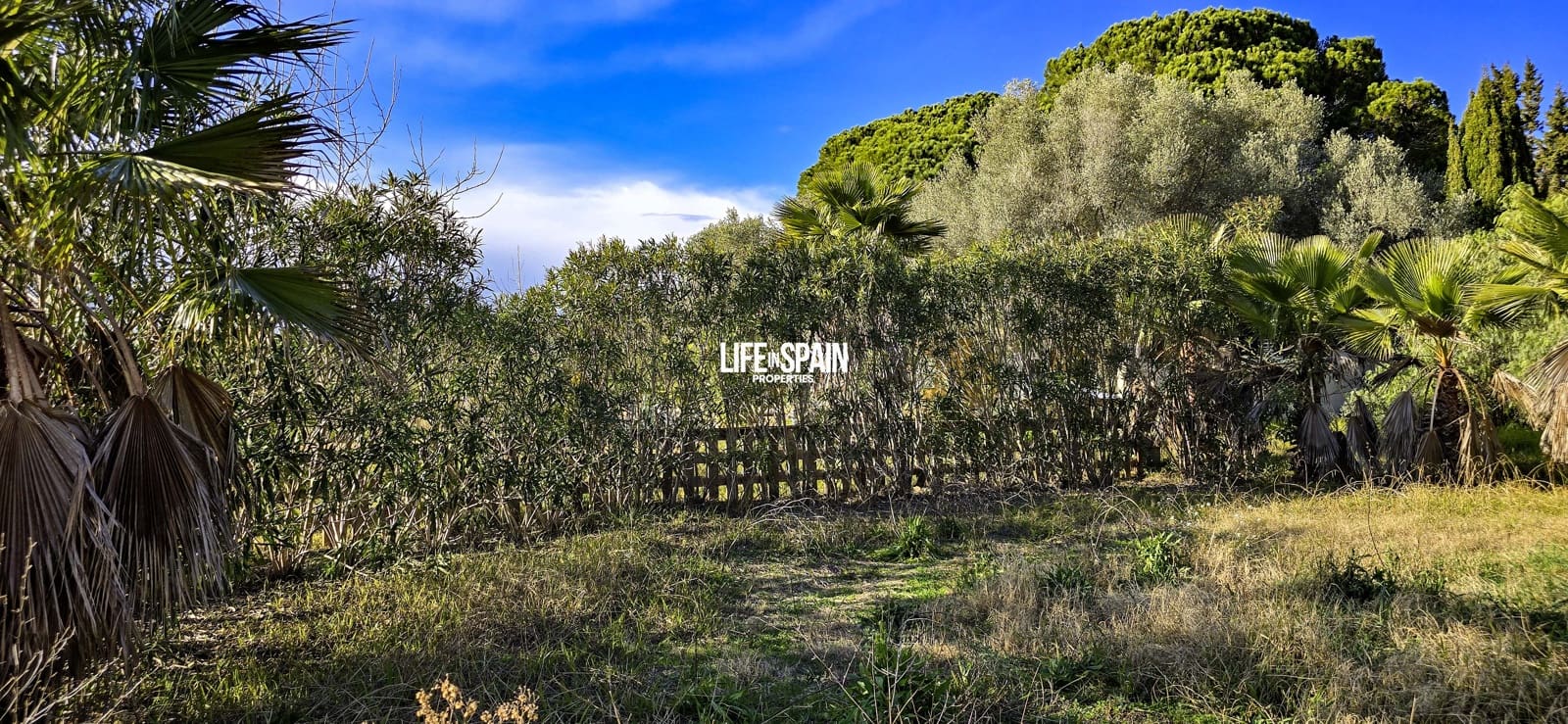 5 sypialnia Finka/Dom wiejski na sprzedaż w Ulldecona z basenem - 275 000 € (Ref: 9593289)