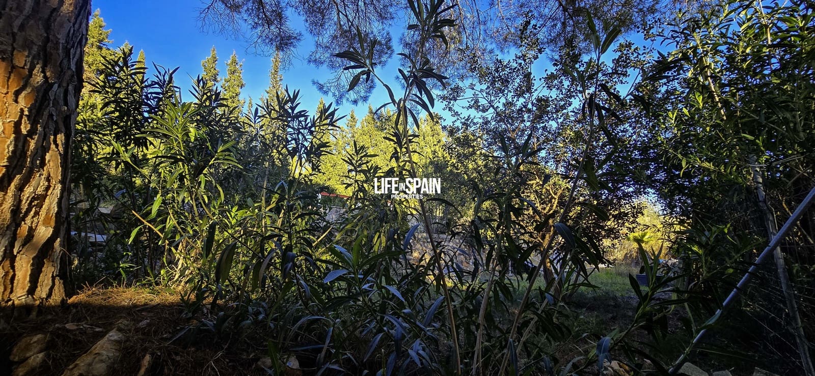 5 sypialnia Finka/Dom wiejski na sprzedaż w Ulldecona z basenem - 275 000 € (Ref: 9593289)