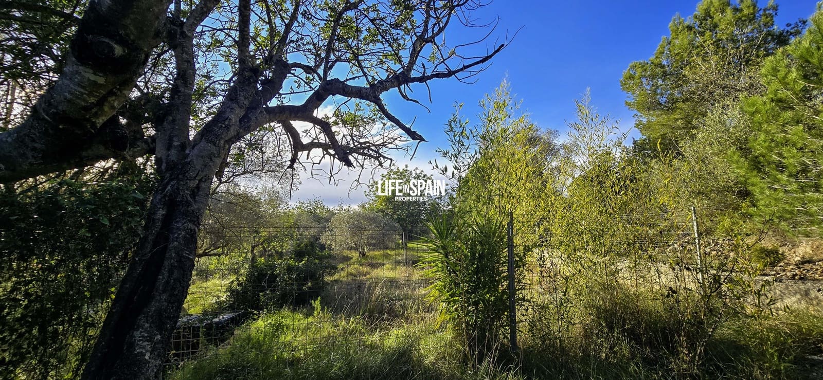 5 sypialnia Finka/Dom wiejski na sprzedaż w Ulldecona z basenem - 275 000 € (Ref: 9593289)