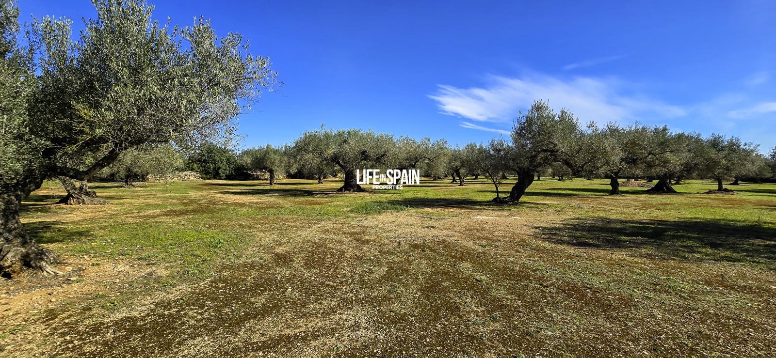 2 makuuhuone Maalaistalo myytävänä paikassa Roquetes - 135 000 € (Ref: 9626446)