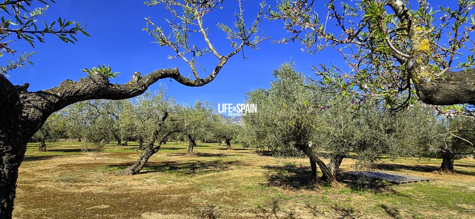 2 makuuhuone Maalaistalo myytävänä paikassa Roquetes - 135 000 € (Ref: 9626446)