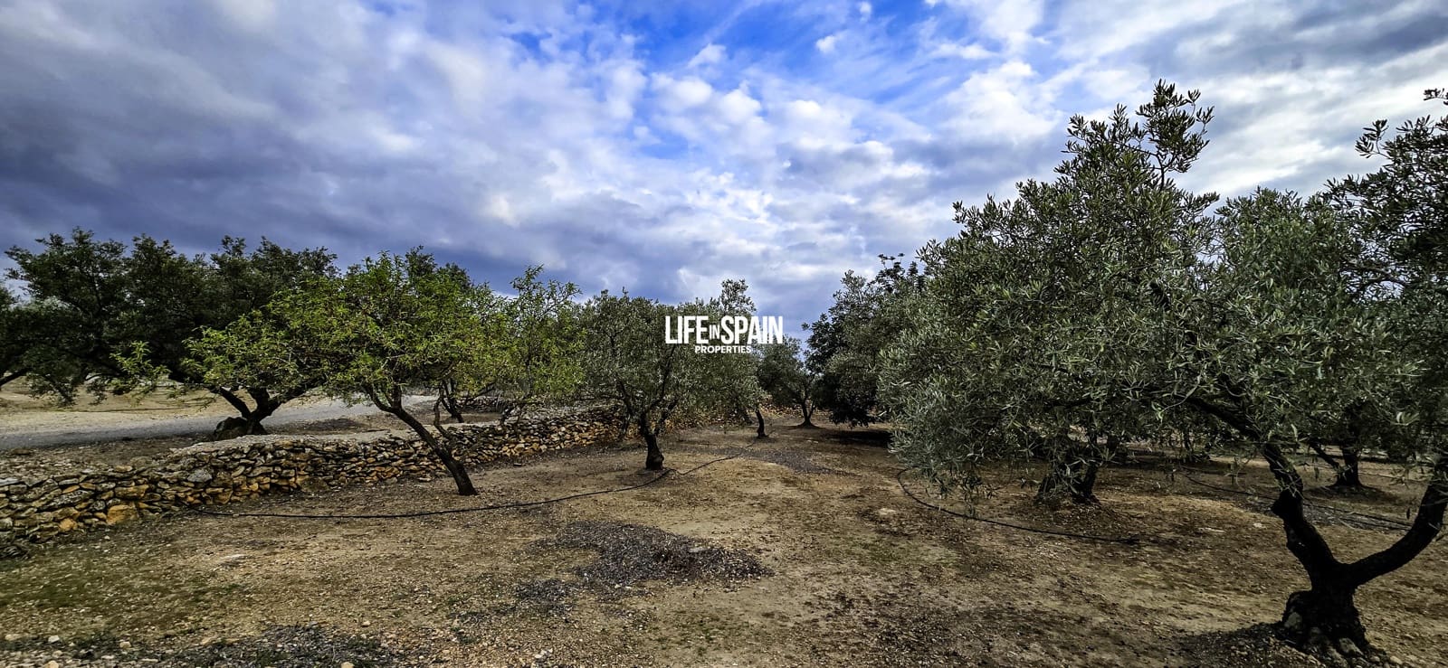 1 makuuhuone Maalaistalo myytävänä paikassa Tivenys - 110 000 € (Ref: 9639806)