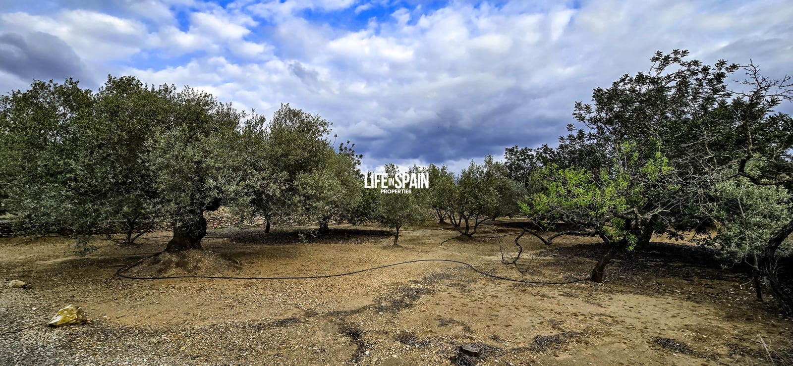 1 makuuhuone Maalaistalo myytävänä paikassa Tivenys - 110 000 € (Ref: 9639806)