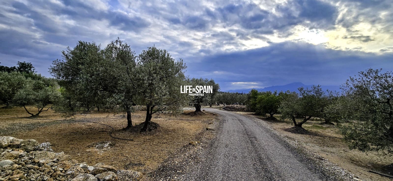 1 makuuhuone Maalaistalo myytävänä paikassa Tivenys - 110 000 € (Ref: 9639806)