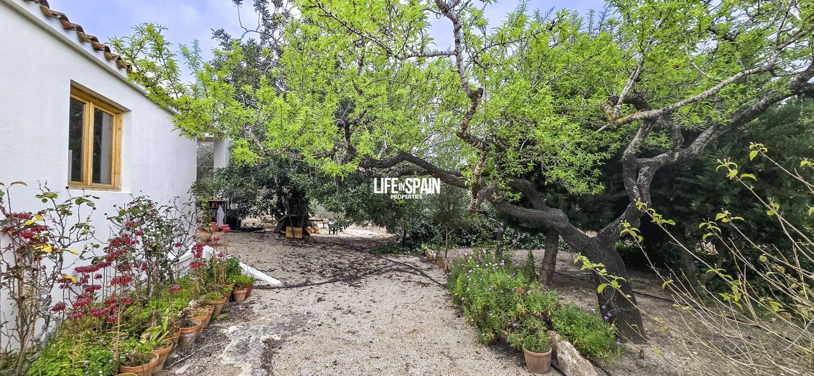 1 makuuhuone Maalaistalo myytävänä paikassa Tivenys - 110 000 € (Ref: 9639806)