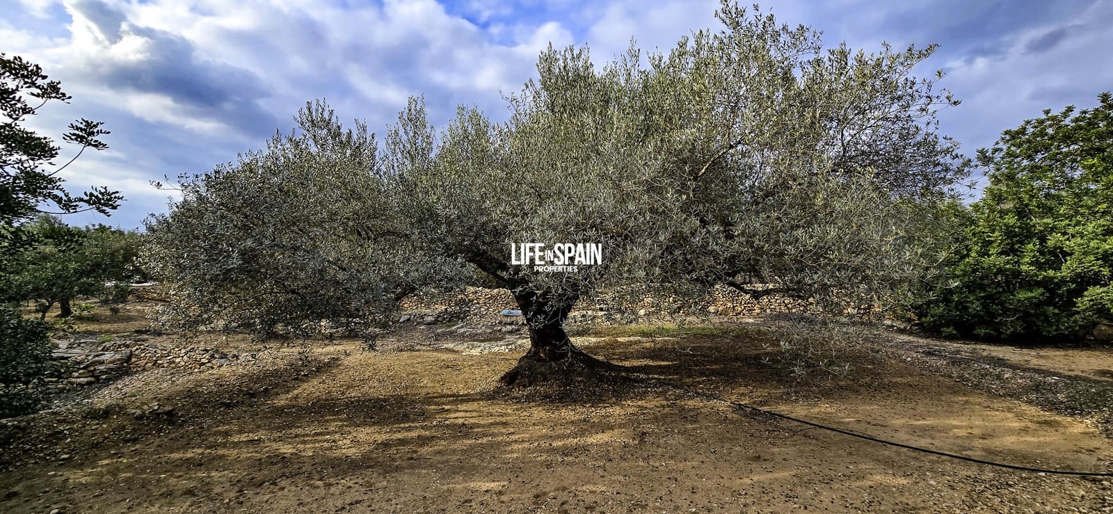 1 makuuhuone Maalaistalo myytävänä paikassa Tivenys - 110 000 € (Ref: 9639806)