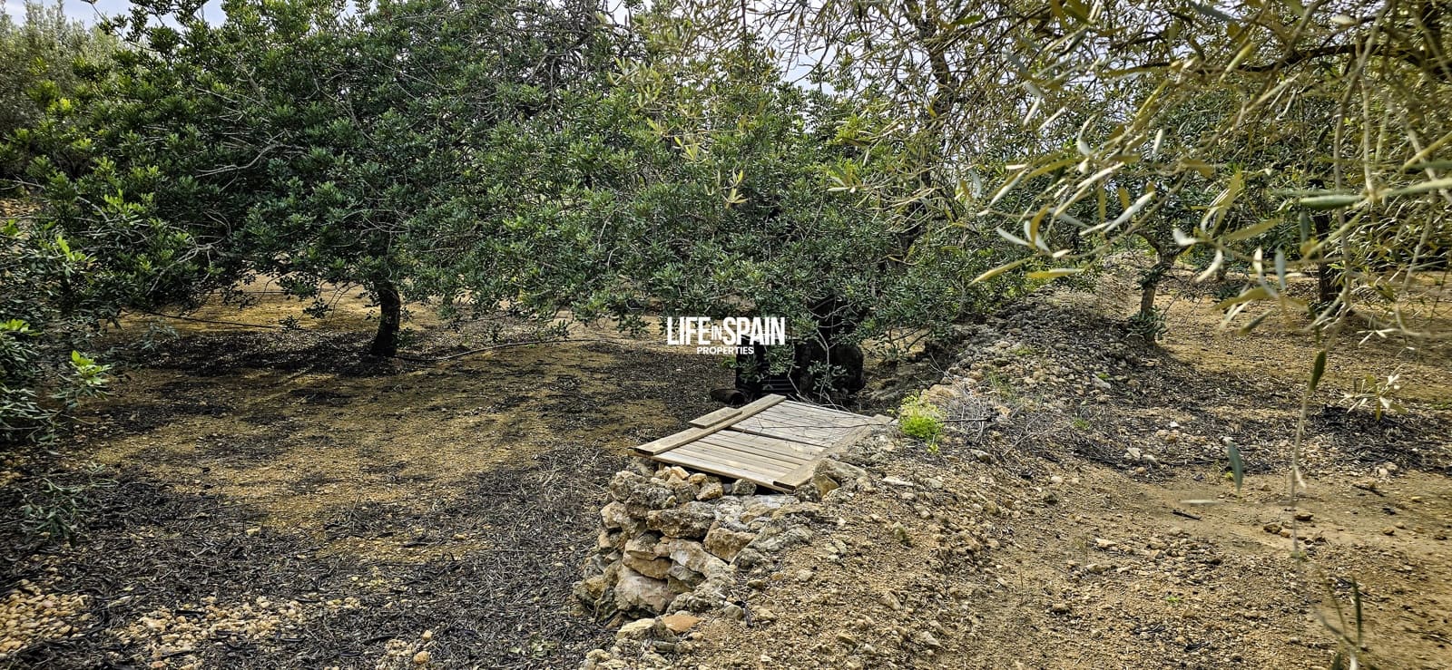 1 makuuhuone Maalaistalo myytävänä paikassa Tivenys - 110 000 € (Ref: 9639806)