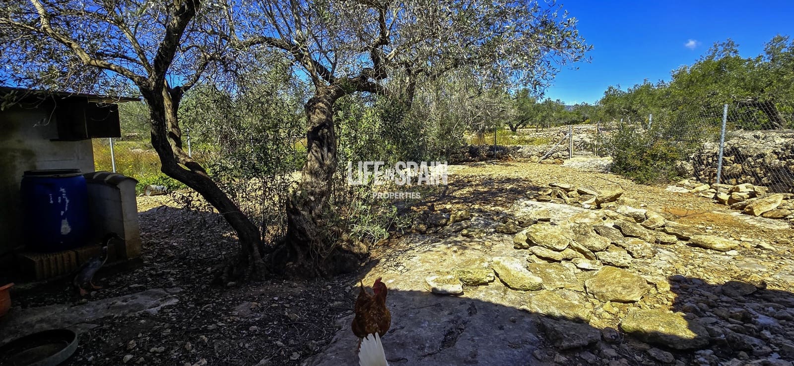 6 bedroom Finca/Country House for sale in L'Ampolla - € 390,000 (Ref: 9751489)