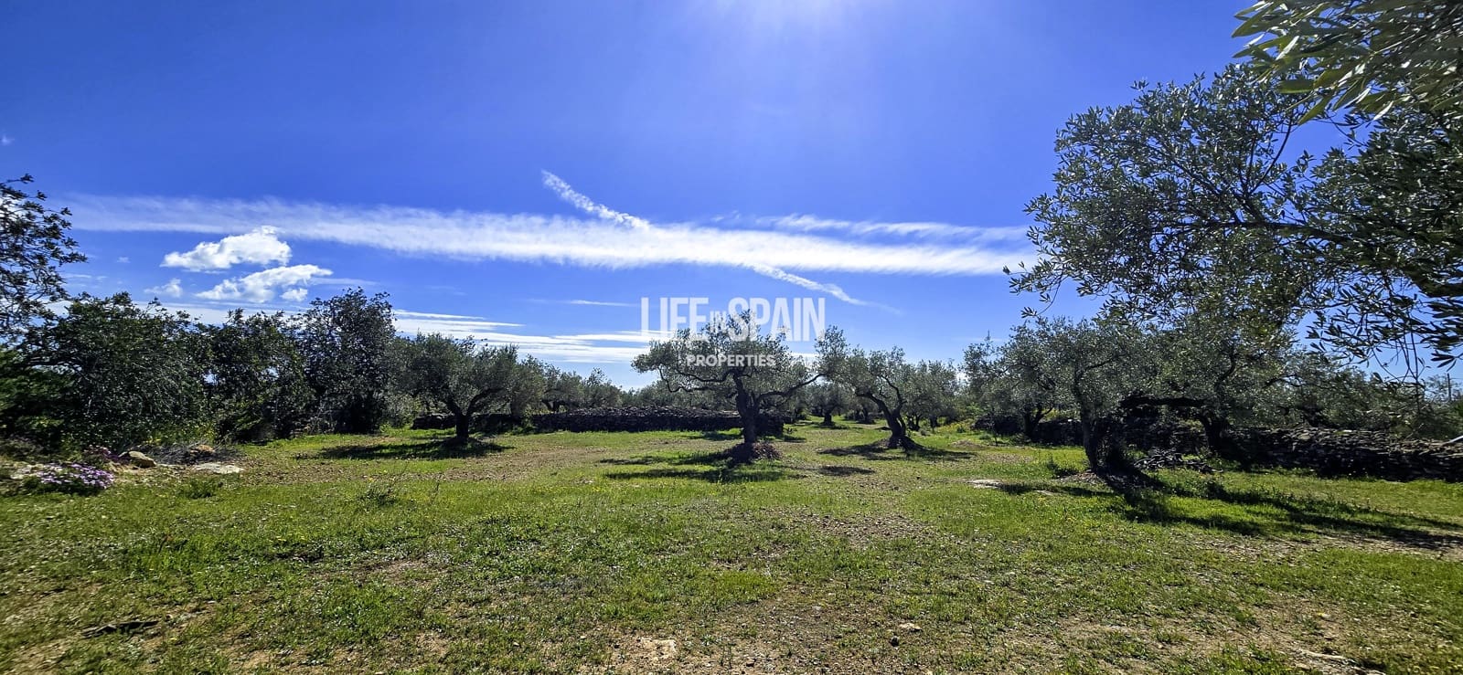 6 bedroom Finca/Country House for sale in L'Ampolla - € 390,000 (Ref: 9751489)