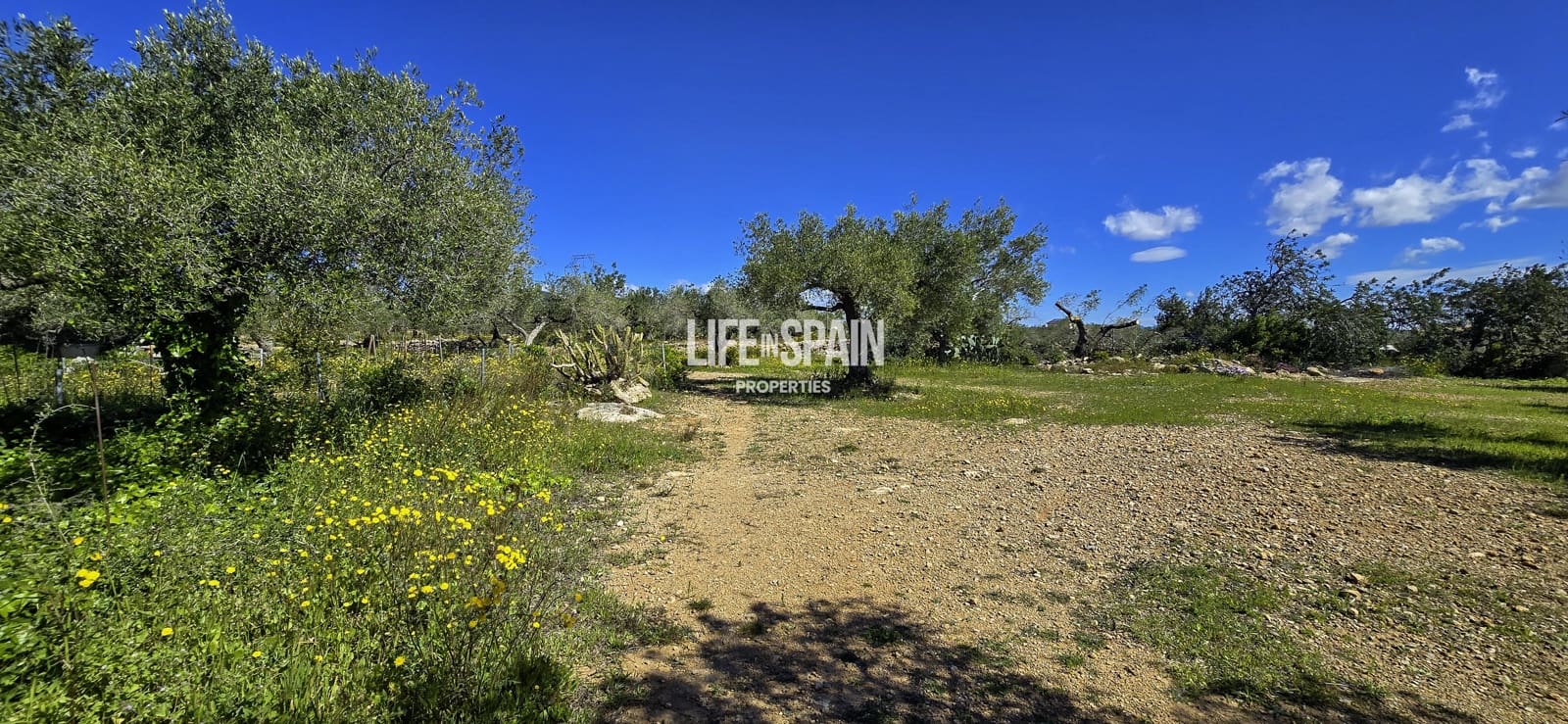 6 bedroom Finca/Country House for sale in L'Ampolla - € 390,000 (Ref: 9751489)