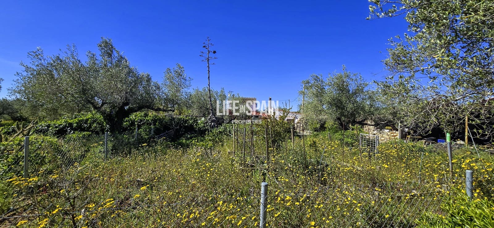 6 bedroom Finca/Country House for sale in L'Ampolla - € 390,000 (Ref: 9751489)