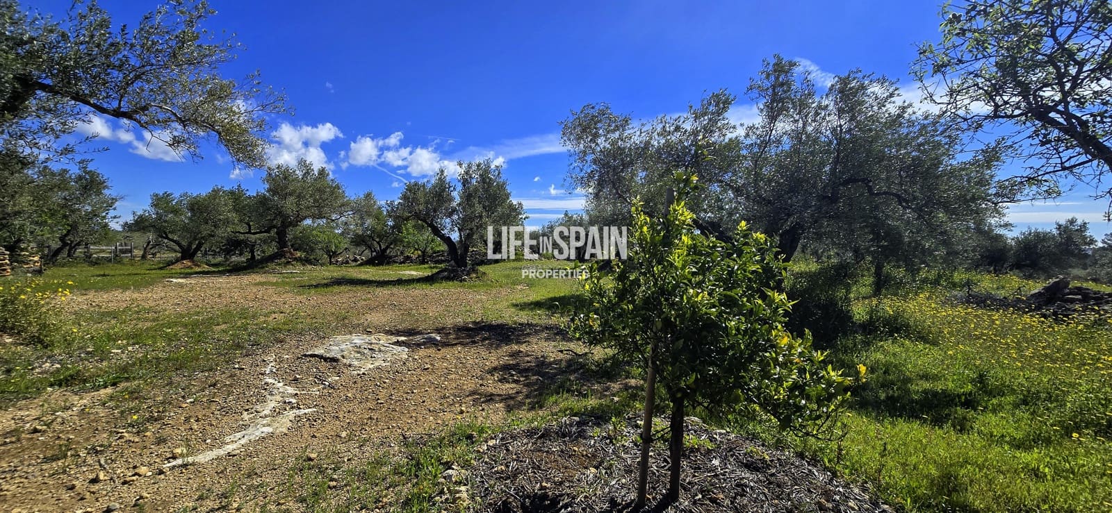 6 bedroom Finca/Country House for sale in L'Ampolla - € 390,000 (Ref: 9751489)