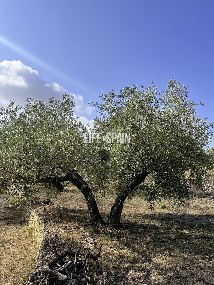 2 camera da letto Finca/Casa di Campagna in vendita in Tortosa - 140.000 € (Rif: 9780811)