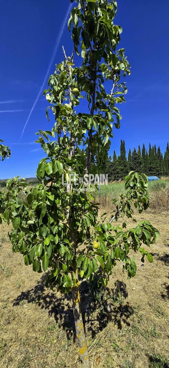 2 sovrum Finca/Hus på landet till salu i Ginestar - 160 000 € (Ref: 9893530)