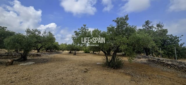 1 soverom Finca/Herregård til salgs i L'Ampolla - € 95 000 (Ref: 9981446)