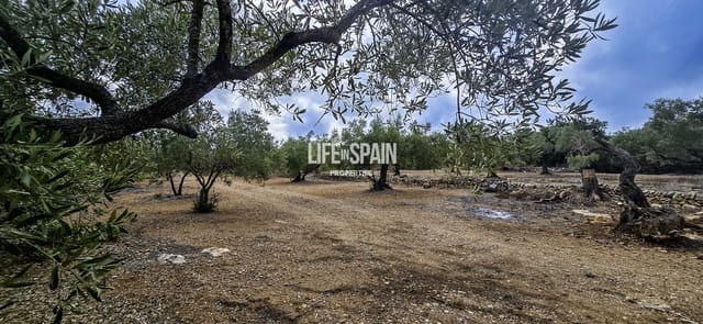 1 soverom Finca/Herregård til salgs i L'Ampolla - € 95 000 (Ref: 9981446)