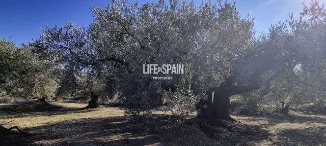 Finca/Herregård til salgs i Roquetes - € 65 000 (Ref: 9986175)