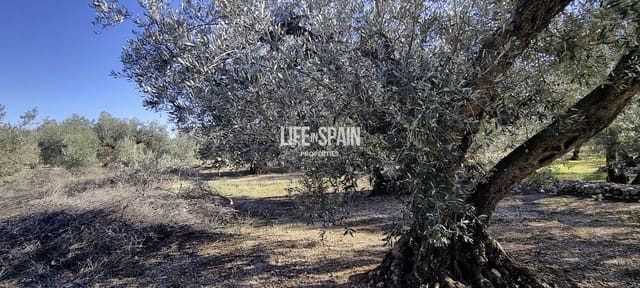 Finca/Herregård til salgs i Roquetes - € 65 000 (Ref: 9986175)
