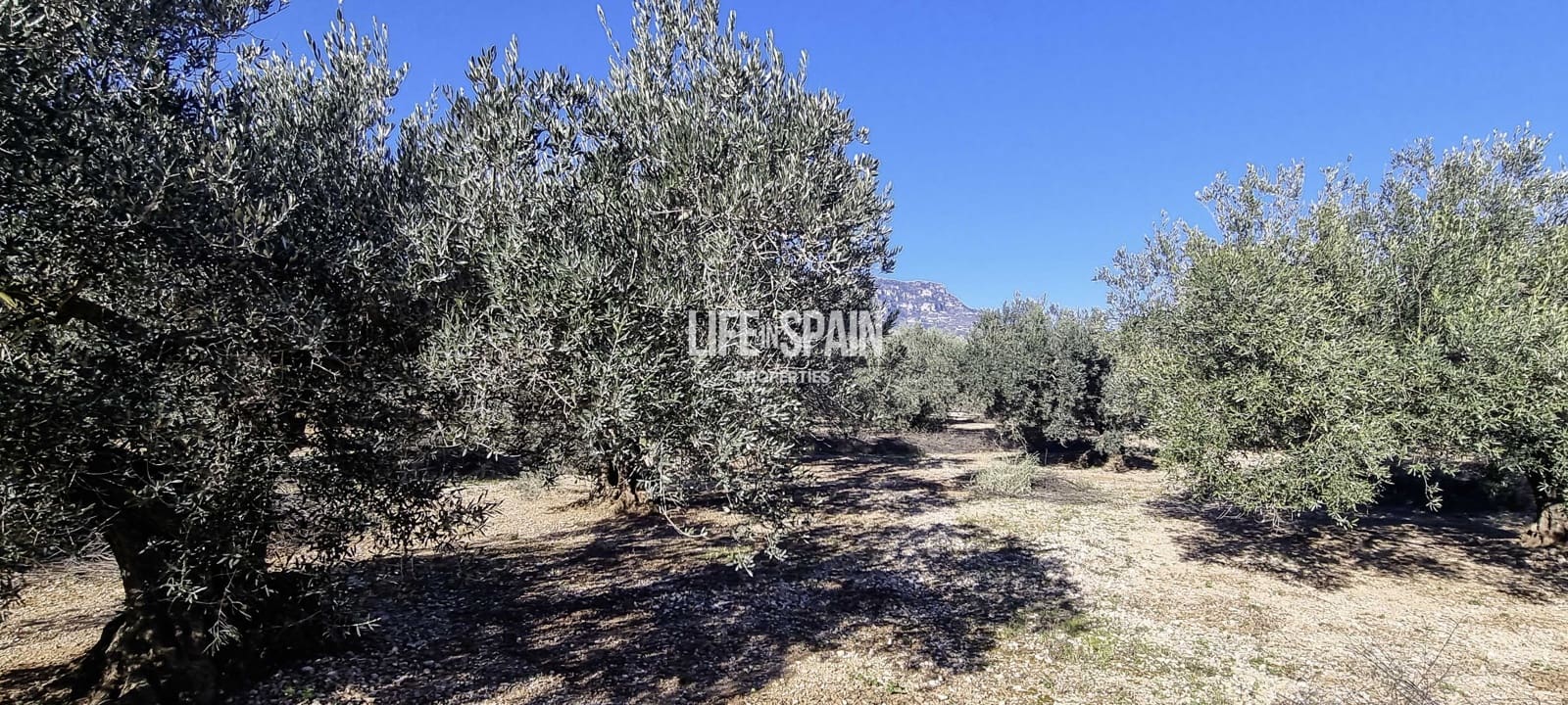 Finca/Hus på landet till salu i Roquetes - 65 000 € (Ref: 9986175)