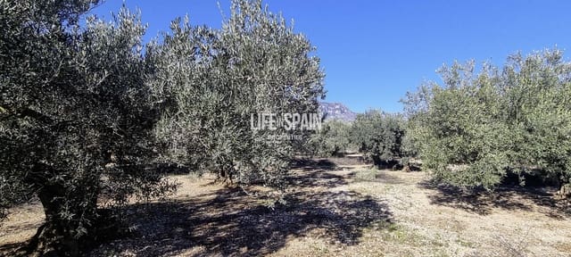 Finca/Herregård til salgs i Roquetes - € 65 000 (Ref: 9986175)