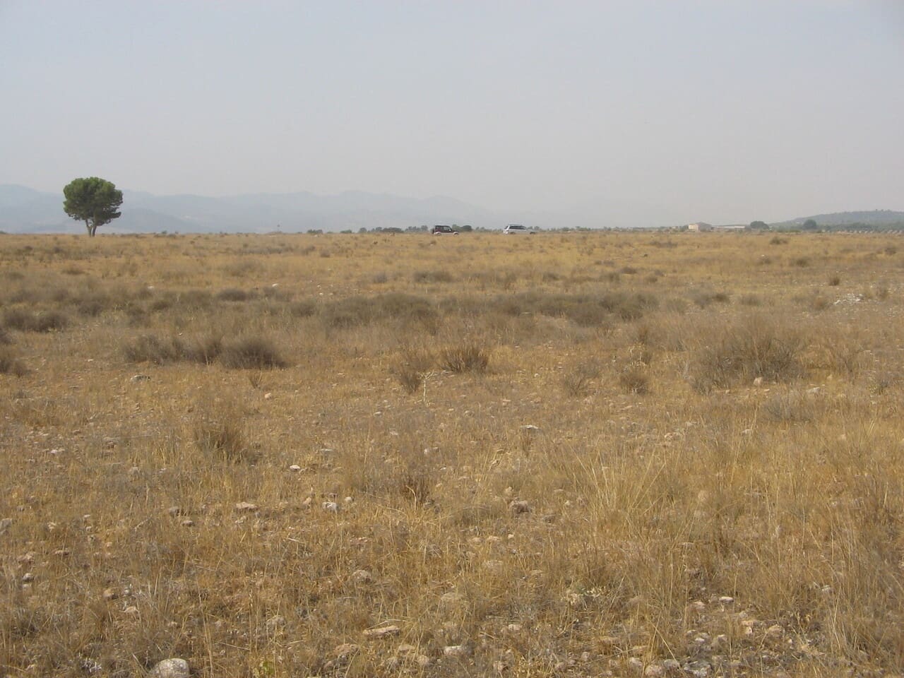 1 bedroom Villa for sale in Lorca - € 55,000 (Ref: 7660051)