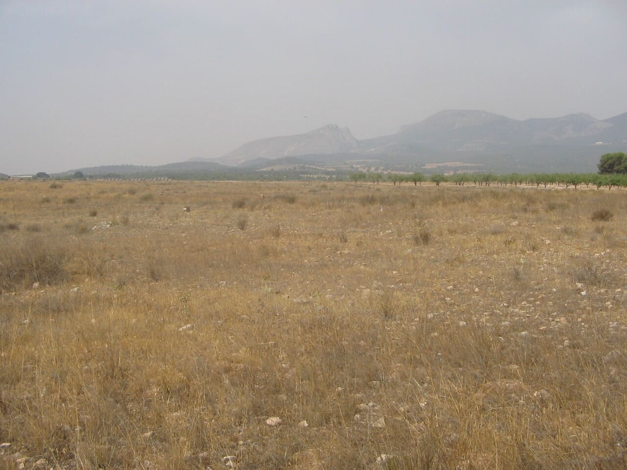 1 bedroom Villa for sale in Lorca - € 55,000 (Ref: 7660051)