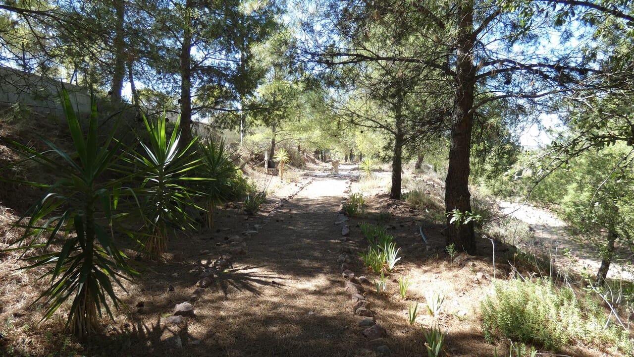 5 soveværelse Villa til salg i Aledo med swimmingpool garage - € 399.995 (Ref: 8552800)