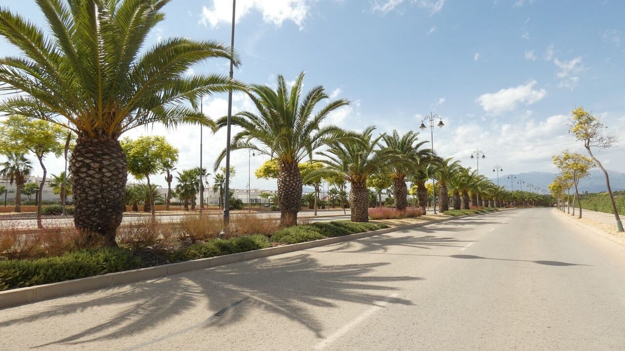 3 makuuhuone Huvila myytävänä paikassa Alhama de Murcia mukana uima-altaan - 318 500 € (Ref: 8810628)