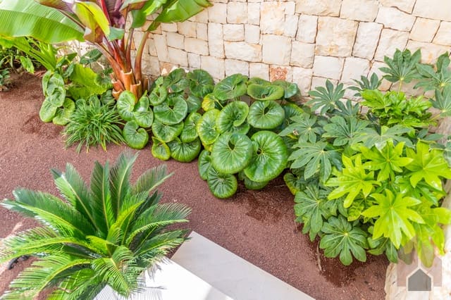 4 makuuhuone Huvila myytävänä paikassa Centro ciudad, Javea / Xàbia - 1 995 000 € (Ref: 7751399)