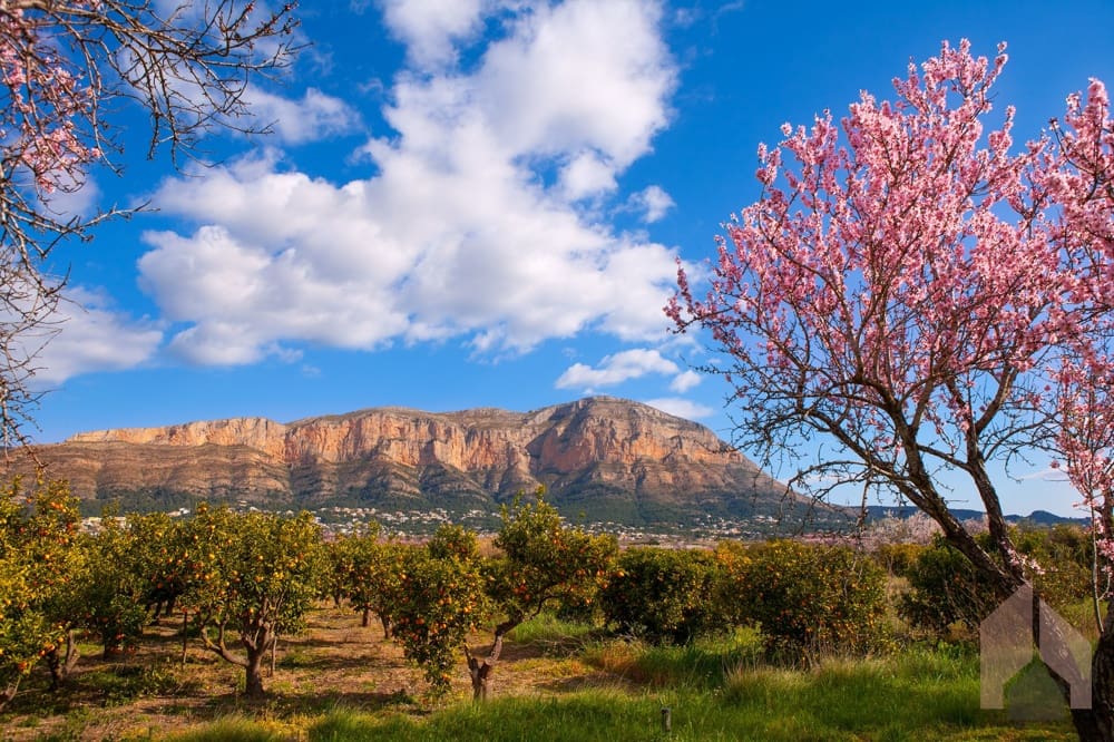 4 bedroom Villa for sale in Javea / Xabia - € 1,995,000 (Ref: 7751399)