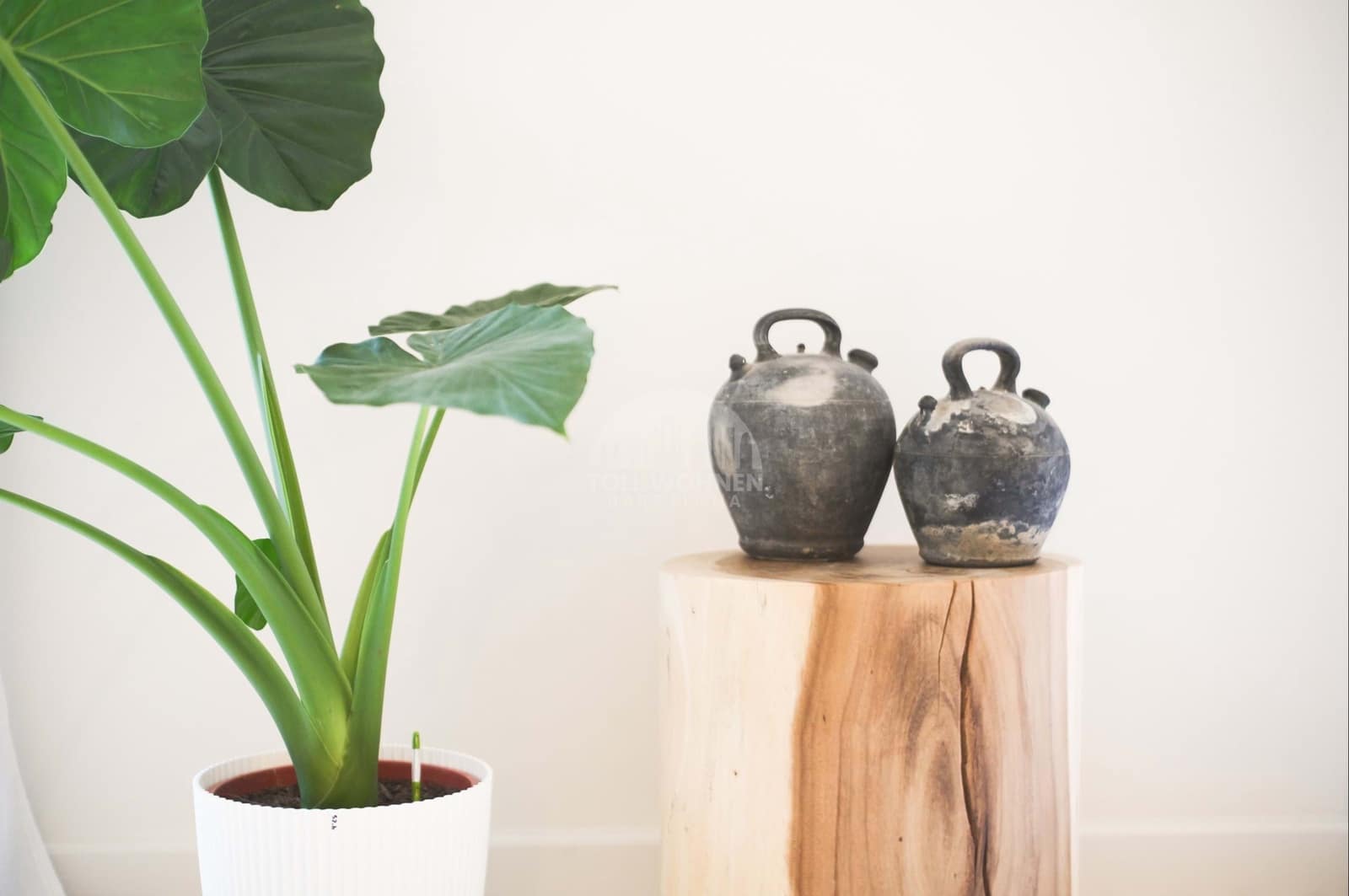 2 bedroom Apartment for sale in Barcelona city - € 645,000 (Ref: 9022269)