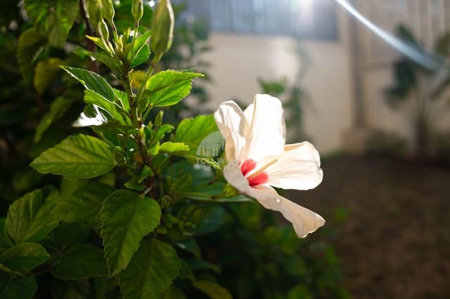 6 sypialnia Willa na sprzedaż w Altafulla z basenem garażem - 1 050 000 € (Ref: 9382046)