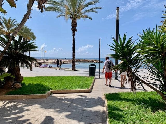 3 bedroom Apartment for rent in Torrevieja - € 850 (Ref: 9860080)