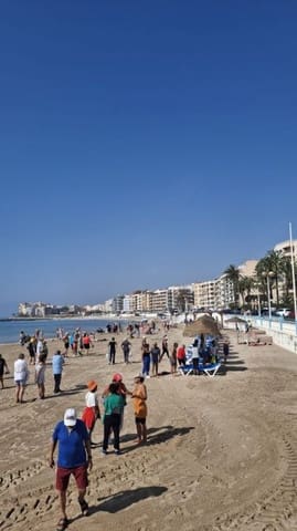3 quarto Apartamento para venda em Los Frutales, Torrevieja com piscina - 255 000 € (Ref: 9873487)