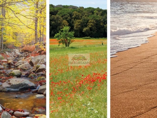 3 quarto Apartamento para venda em Sant Andreu de Llavaneres com garagem - 422 000 € (Ref: 7874476)