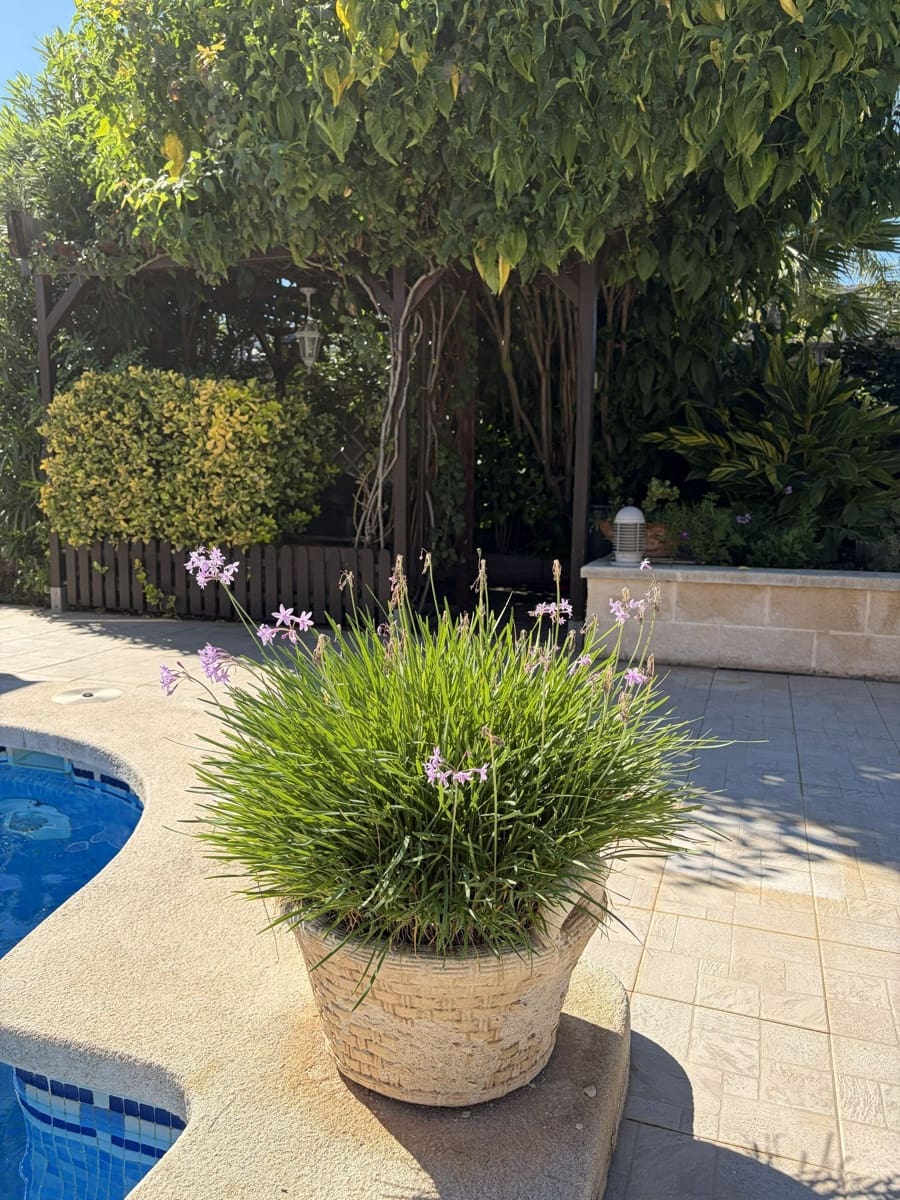 3 bedroom Villa for sale in Olocau with pool garage - € 375,000 (Ref: 10184185)